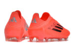 F50 – Image 3