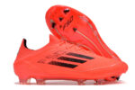 F50 – Image 2