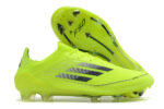 F50 – Image 2