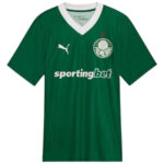 Maillot Palmeiras FC Domicile Homme 2025 2026 | Foot Sport