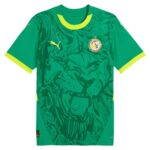 Maillot Senegal Homme Exterieur 2024 2025 | Foot Sport