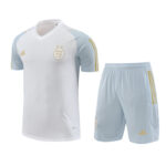 Maillot Training Algerie Blanc Homme/Enfant 2023-2024 | Foot Sport