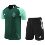 Maillot Training Algerie Vert Homme/Enfant 2023-2024 | Foot Sport