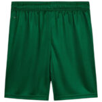 Maillot Kit Enfant Palmeiras Exterieur 2025 2026 | Foot Sport – Image 5