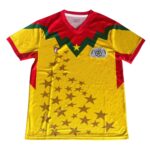 Maillot Burkina Faso Third Jaune Homme 2025 2026 | Foot Sport